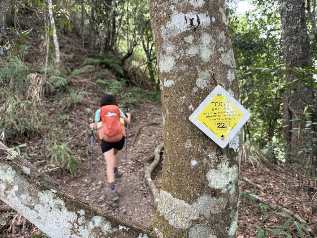 唐麻丹+蝴蝶谷O繞_2887834