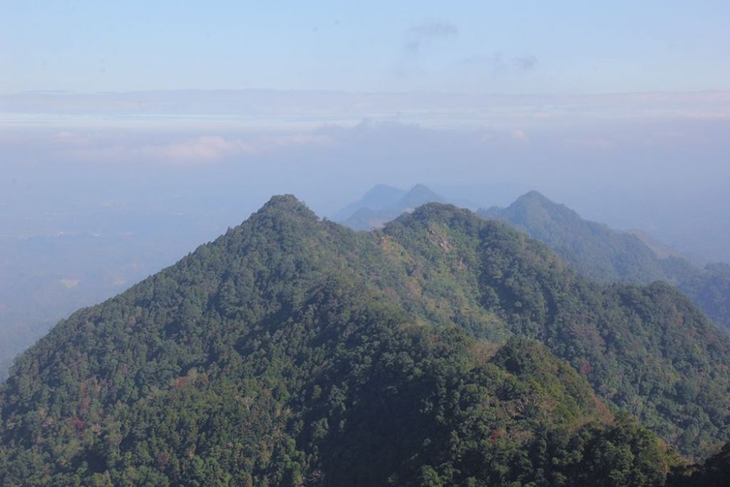 苗栗獅潭仙山O型_313191