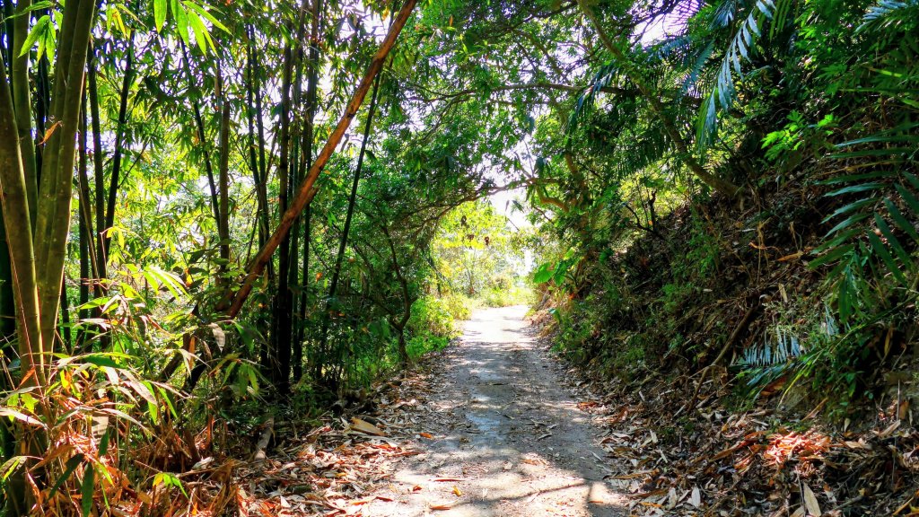 南化刣牛湖山_2987550