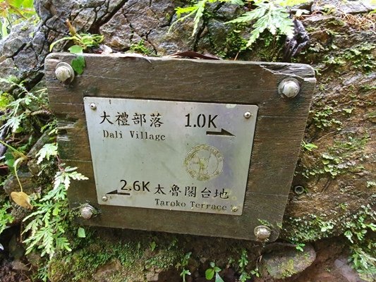 【花蓮秀林鄉】立霧山步道_905354