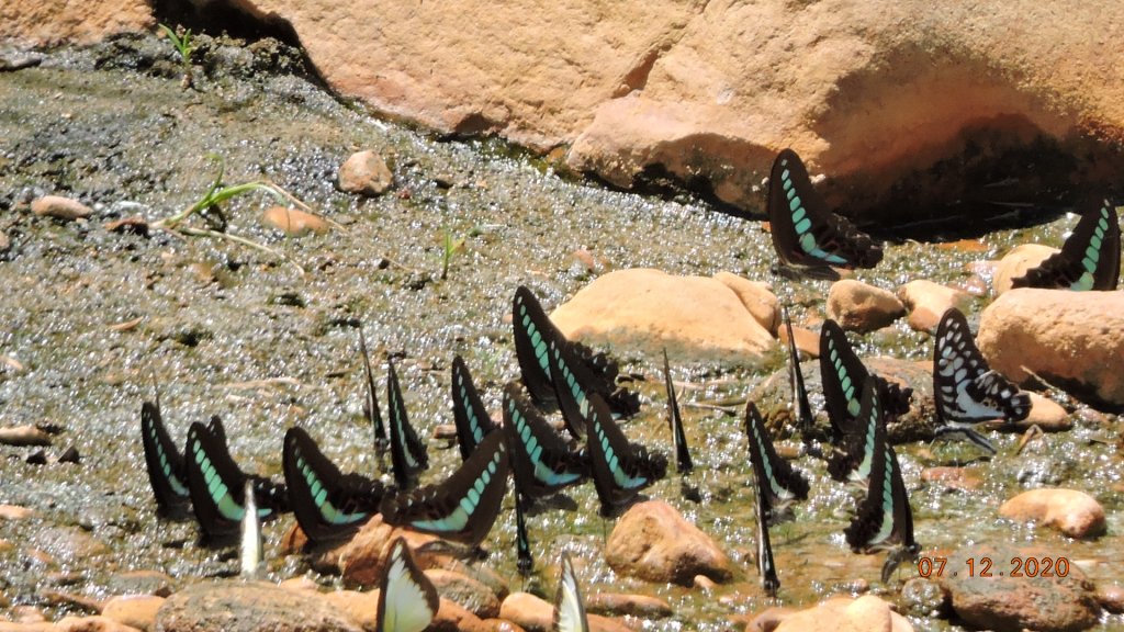 就是喜歡這個藍天白雲的FU_1030340