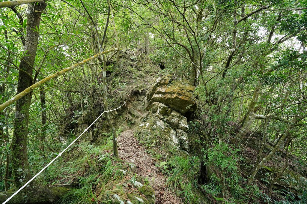 新北 烏來 烏來山、大桶山、四崁水山_2829234
