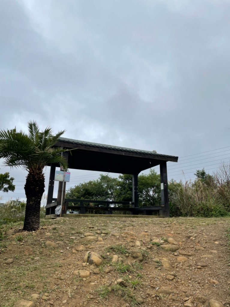 [桃園龜山]楓樹坑步道_1200567