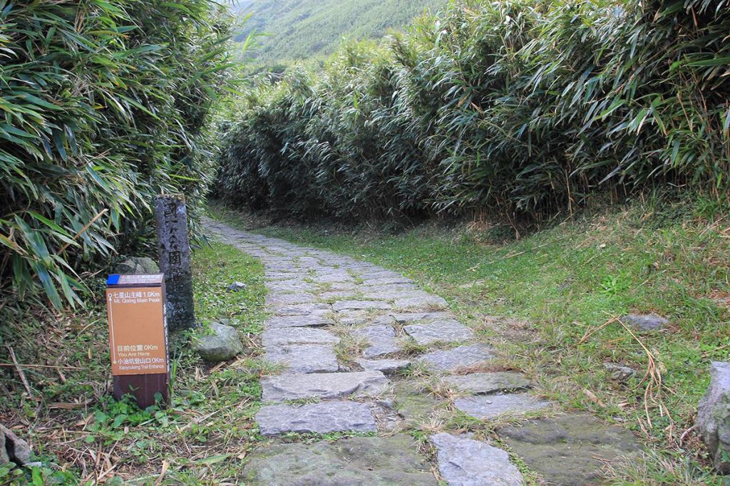 七星山主峰、東峰步道_153582