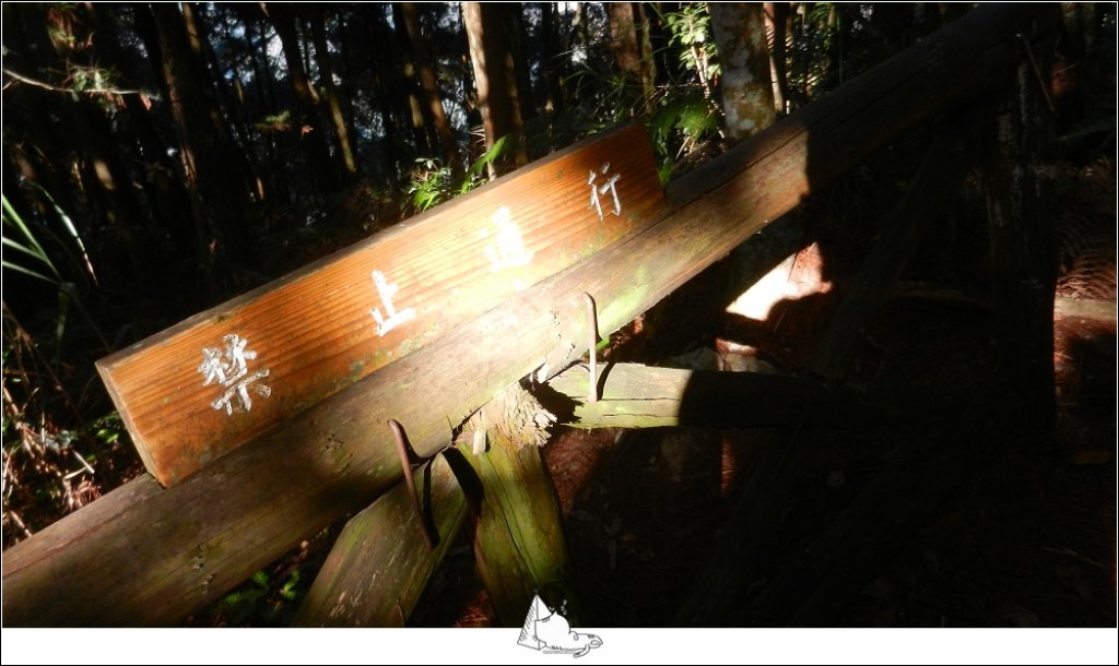 谷關七雄之新山馬崙山(斯可巴步道)_524262