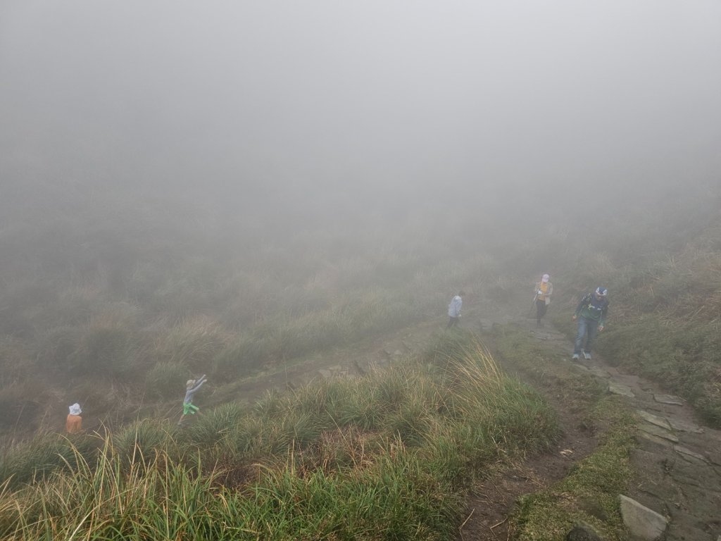 2025臺北大縱走第三段：小油坑至風櫃口封面圖