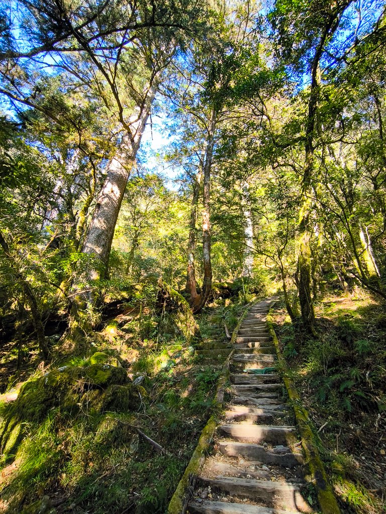 2026-02-09 庫哈諾辛山_2998841