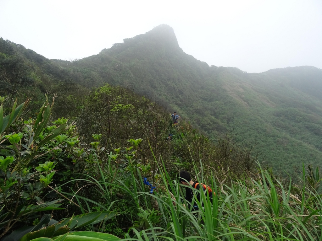 家人的同遊 深澳山港仔尾山蕃仔澳山8型PaPa走_52254