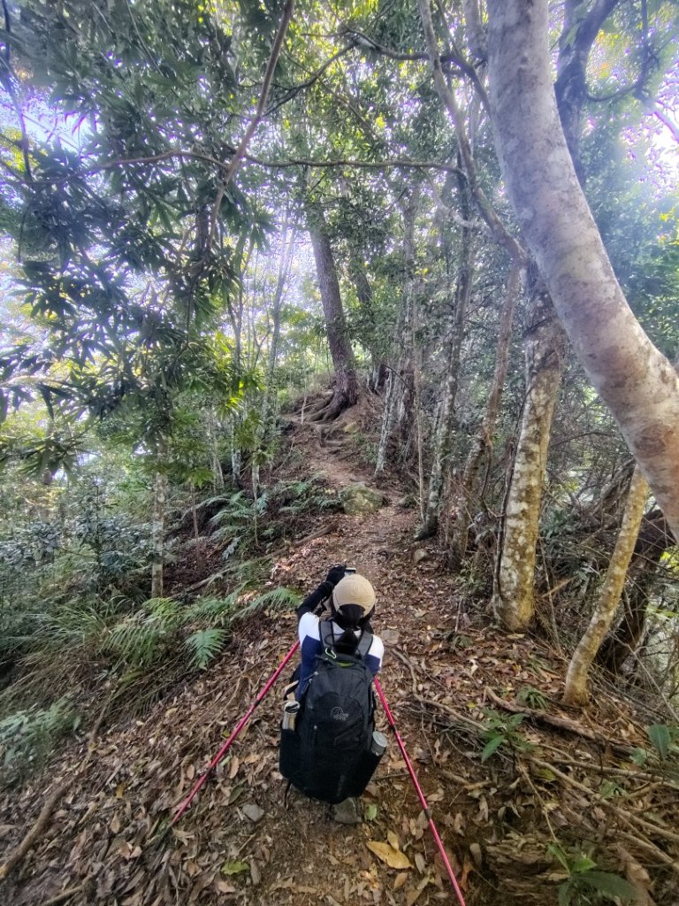 唐麻丹山 蝴蝶谷_2918948