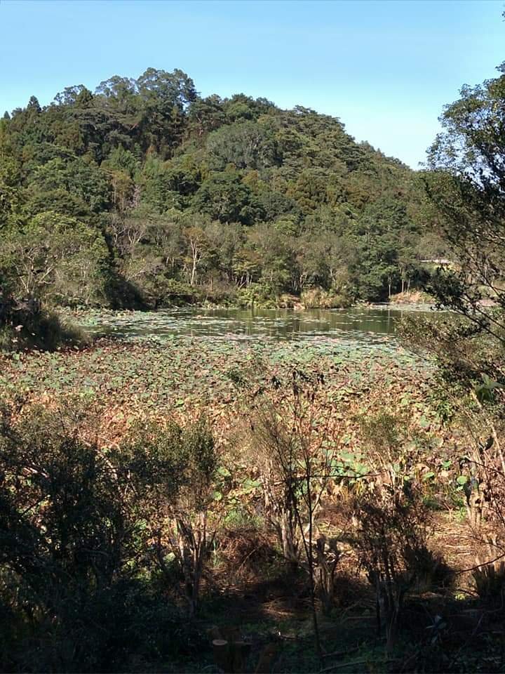 環O之三角湖山，向天湖山，光天高山一日遊_1009964