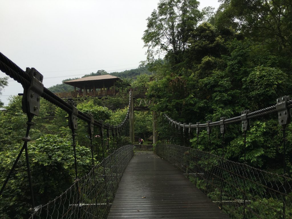 20160521_迷糊步道_872700