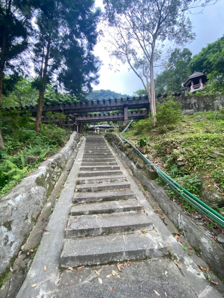 20200403貓仔們林田山林業文化園區_912345