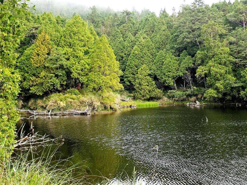 三星池步道(太平山森林遊樂區)封面圖
