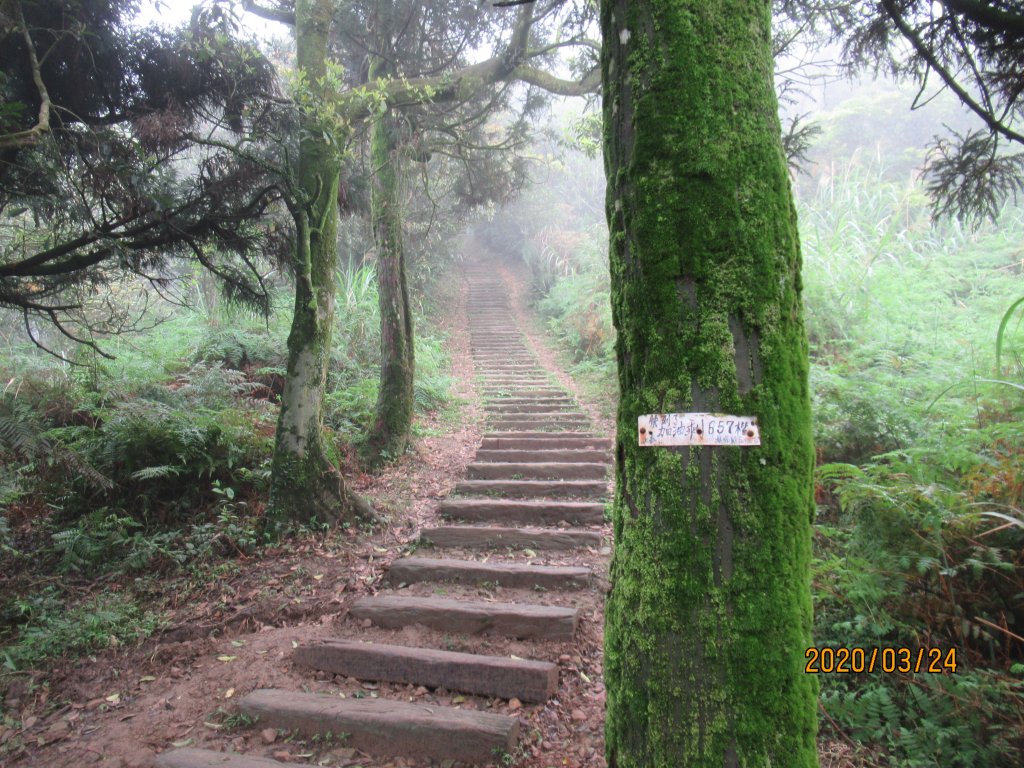 姜子寮步道_904627