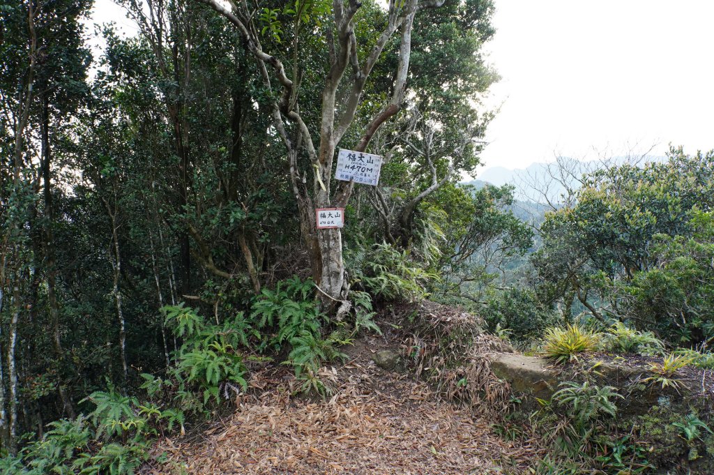 新竹 關西 福大山、彩和山、高甫山_2988277