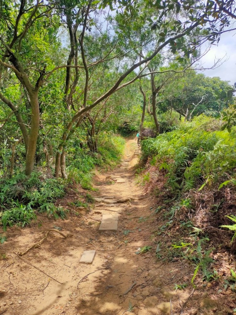 ［軍艦岩，單鳳山］（台灣百大步道）（2023/7/30）_2238430