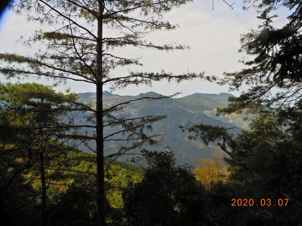 新竹 五峰 民都有山(面托油山)_869225