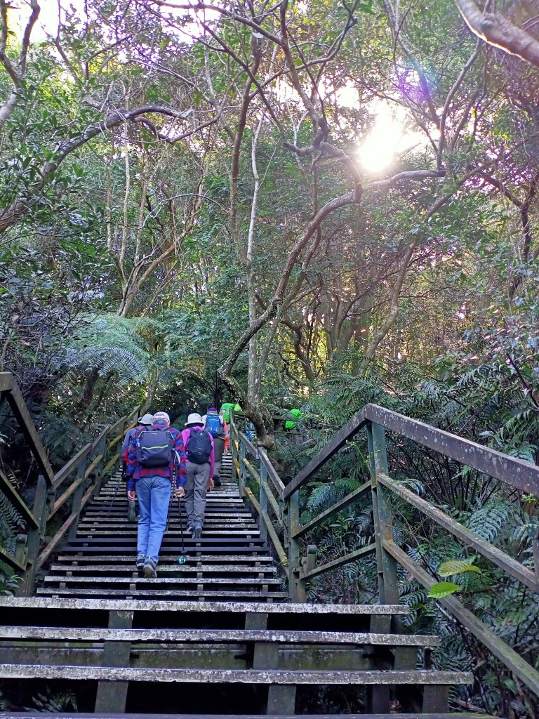 翠山步道→小溪頭環狀步道→大崙頭尾山→論劍山→剪刀石山→金面山_1636726