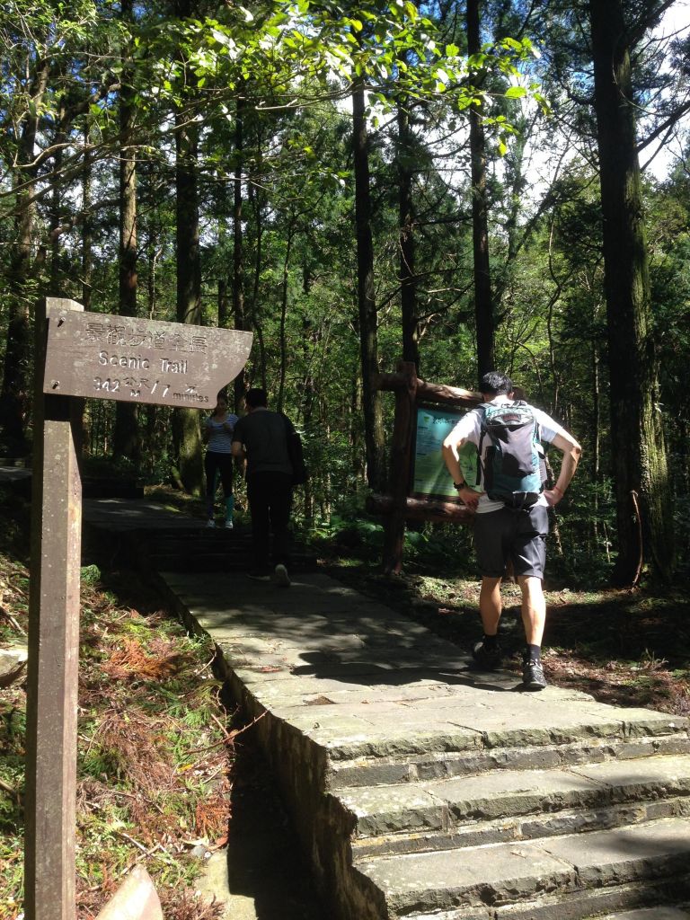 東眼山自導式步道_135992