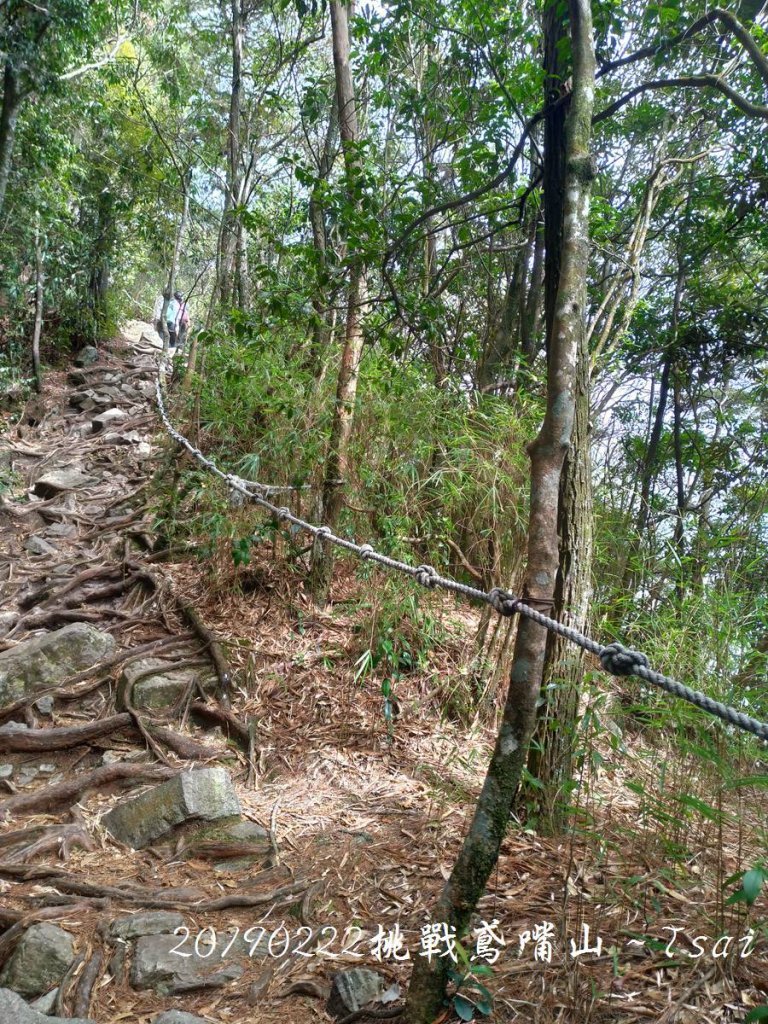 20190222挑戰鳶嘴山_699011