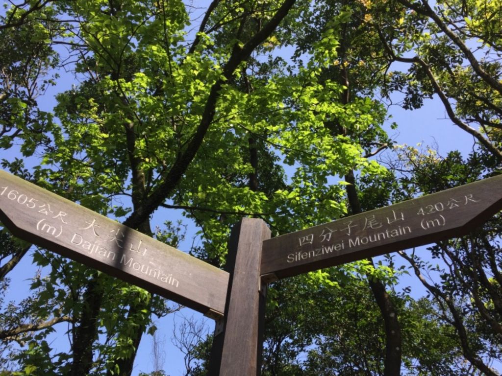 汐止大尖山（大針山）_294634