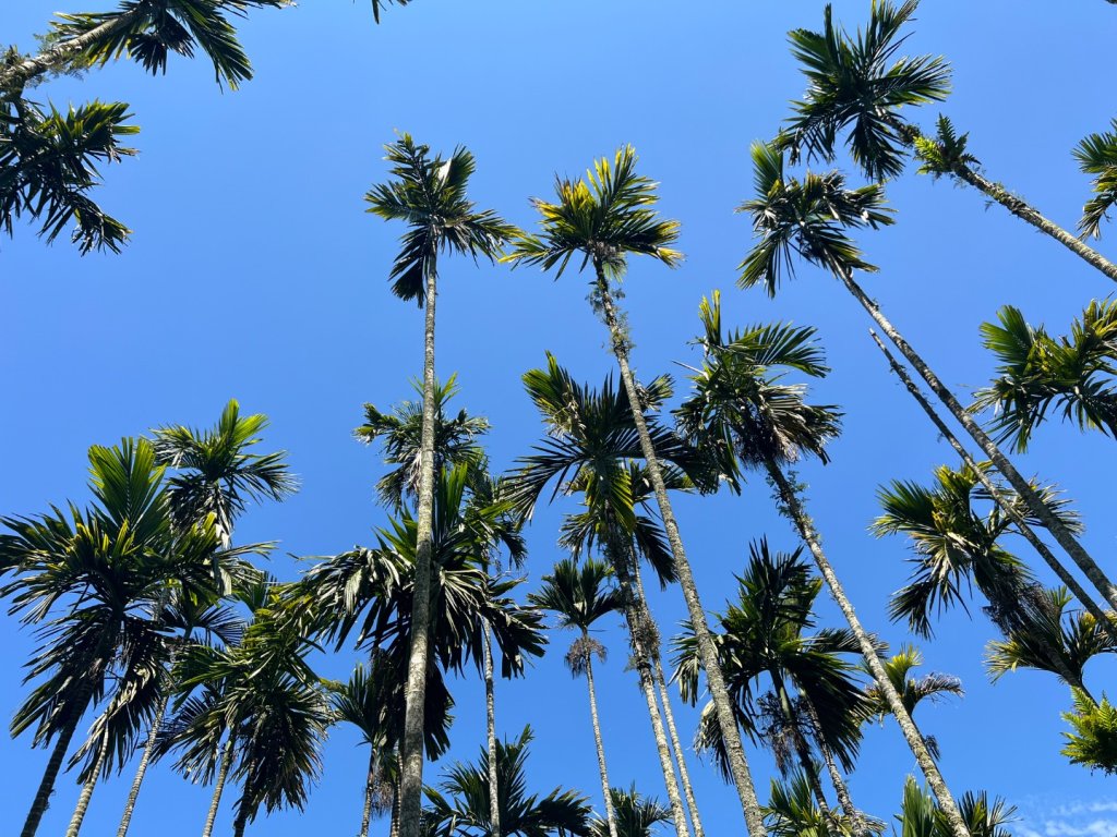 日月潭後尖頭社蹤走封面圖