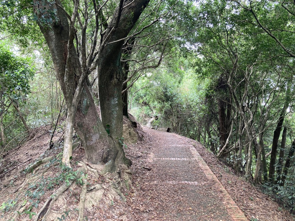 十二寮古道_2555985