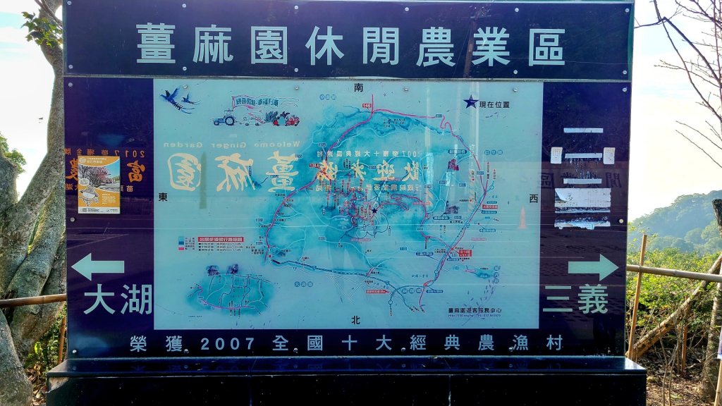 小百岳關刀山889m+銅鑼杭菊_1924003