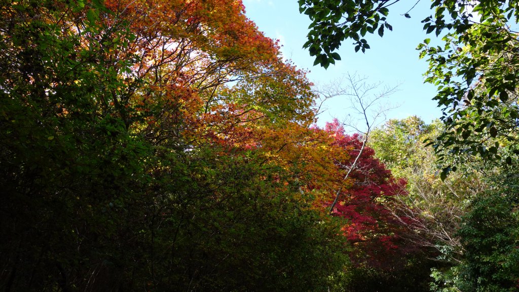 日本京都嵐山_652071