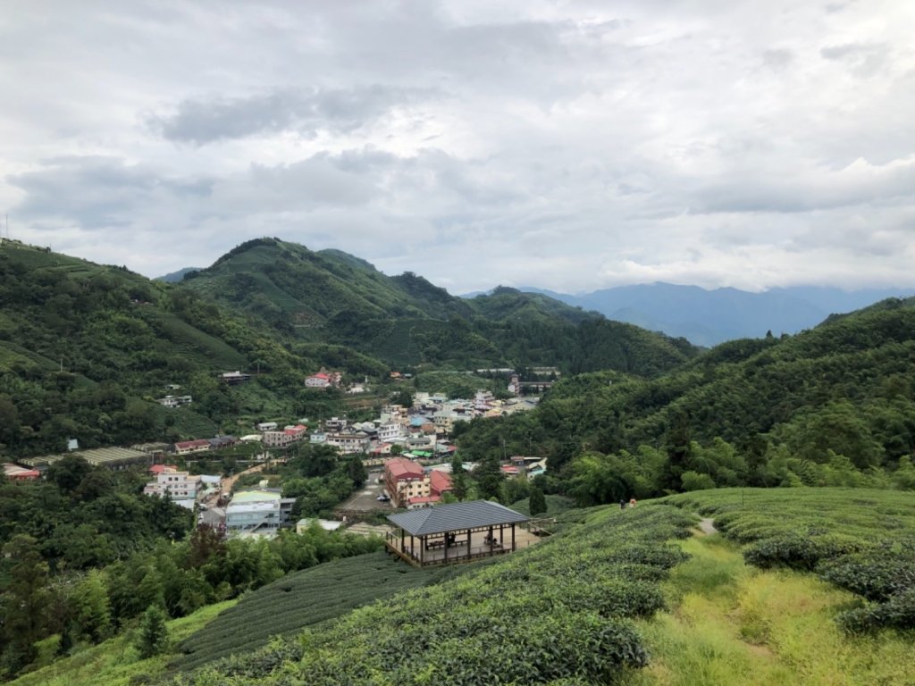 嘉義連峰獨立山大巃頂紅楠坑觀音石阿拔泉_633261