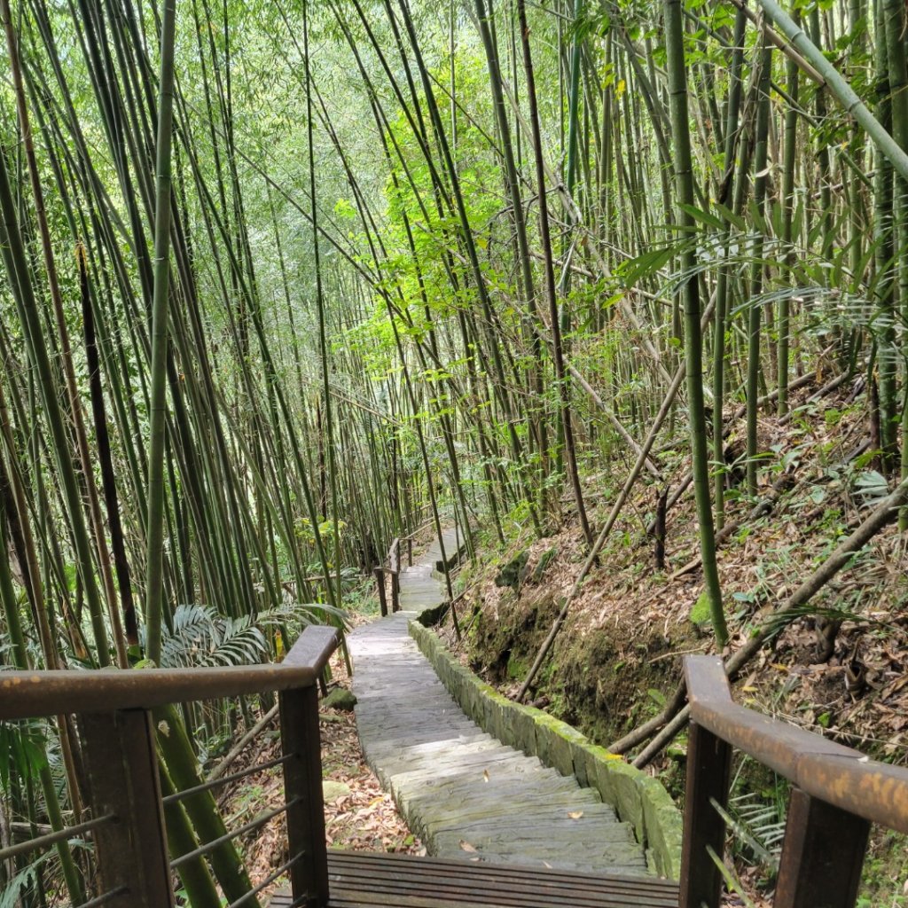 雅吾瑪斯步道_1704115