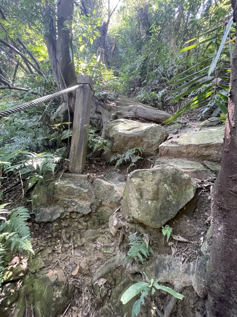 【鳶山山系】鳶山彩壁_2858083