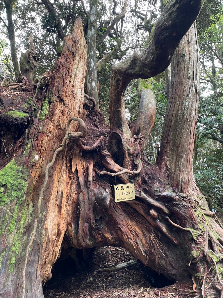 高島縱走封面圖