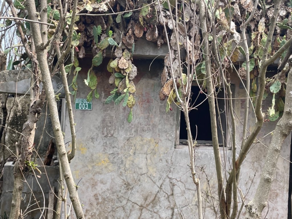 澎湖蛇頭山_2691019