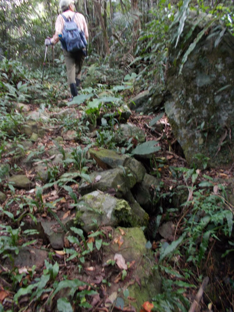 鷹山連走夫婦山西峰_1143800