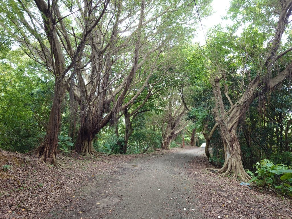 微笑山線之大棟山系封面圖