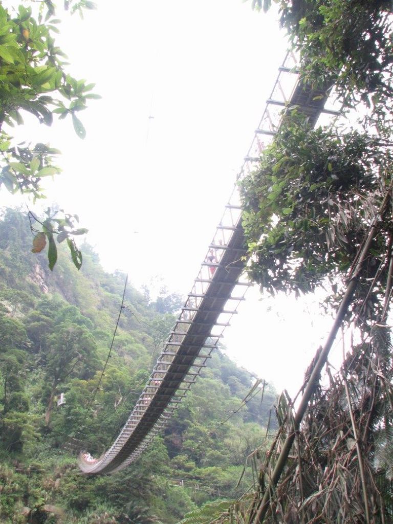 竹山天梯與太極峽谷(順遊八卦茶園)_124427