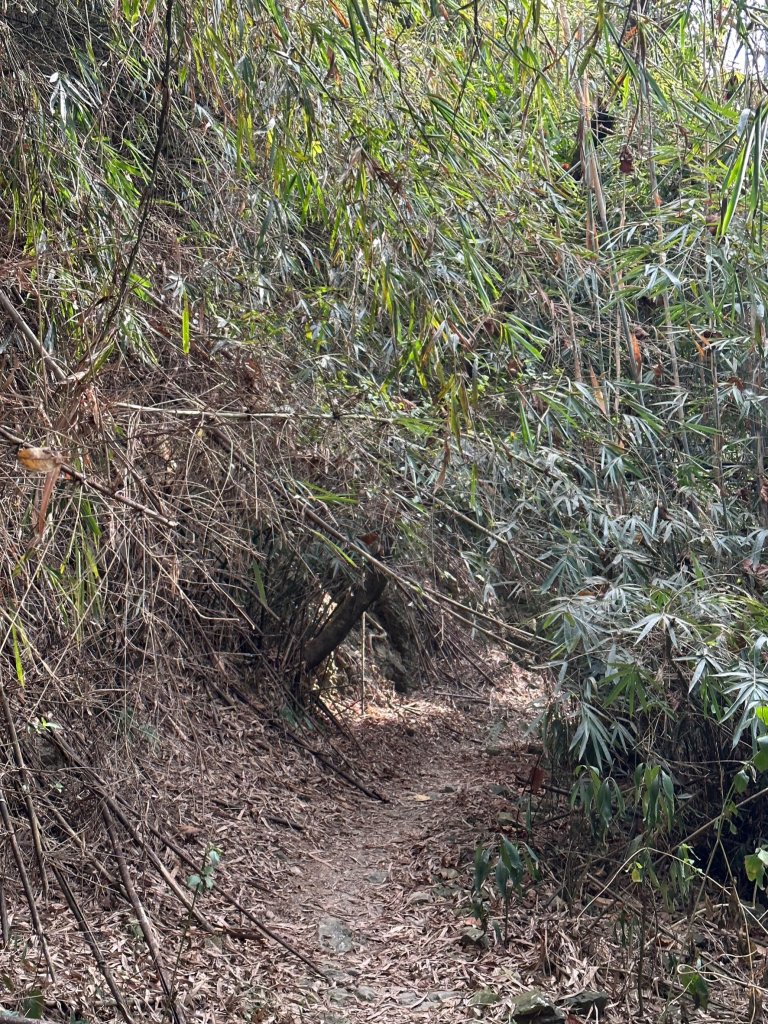 真的很硬的尾寮山_2039233