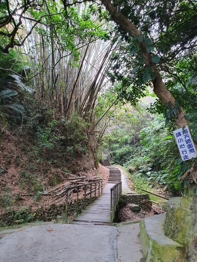 步道巡訪員│龍過脈步道3月巡訪日誌_872330