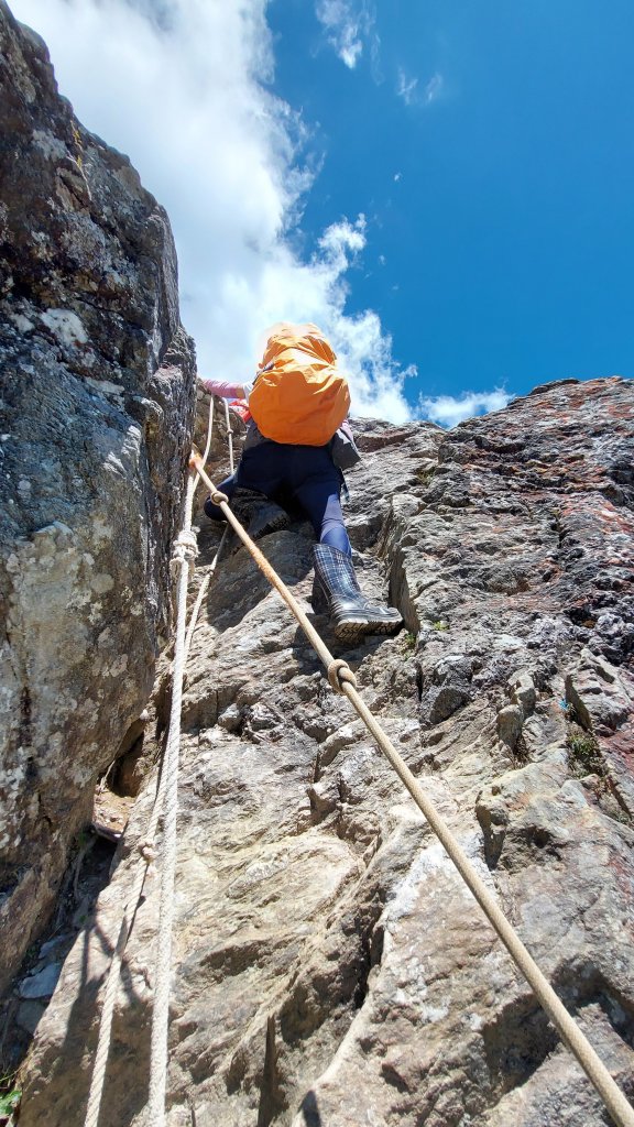 111/07/23畢羊縱走DAY 1(大禹嶺-820林道-畢祿山-鋸東山屋)_1777500