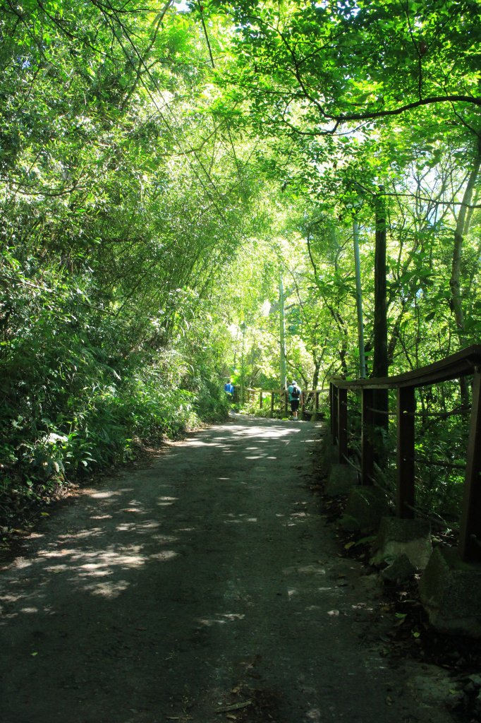 東埔彩虹步道20201002_1159422