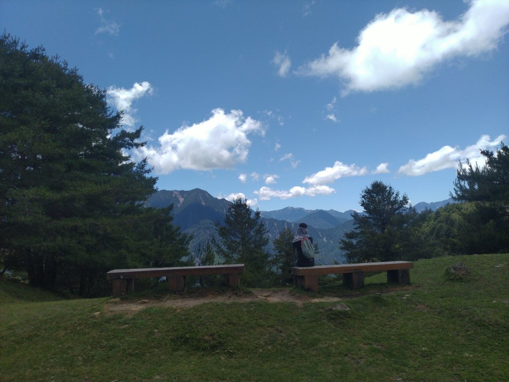 2022-07-21 塔塔加一日遊(麟趾山、鹿林山)_1771457