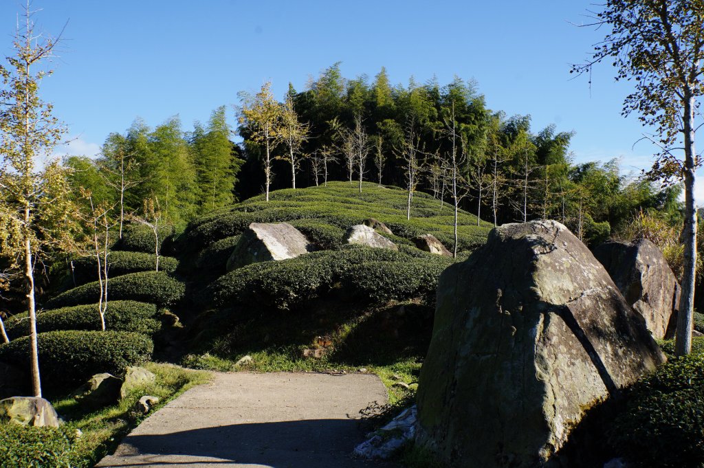 南投 鹿谷 龍鳳山、龍鳳峽山、三叉崙山、水桶寮山、內樹皮山、羊頭崙山、志騰山、竹崙山、溪頭山_2962265