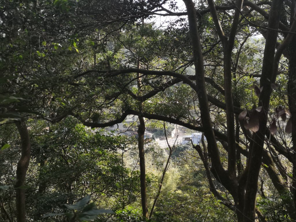 我從福人步道走去大北坑吃好料_818603