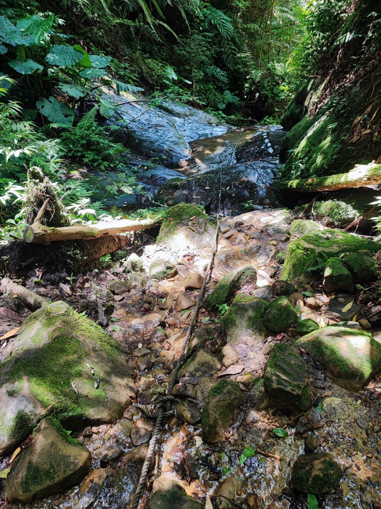 石牛山-小百岳#25-新竹縣關西區_2236768