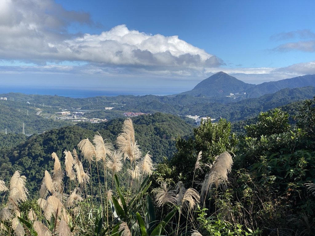 2023/12/14 碇內尖山 龍門山 五分山 淡蘭古道中路_2399796