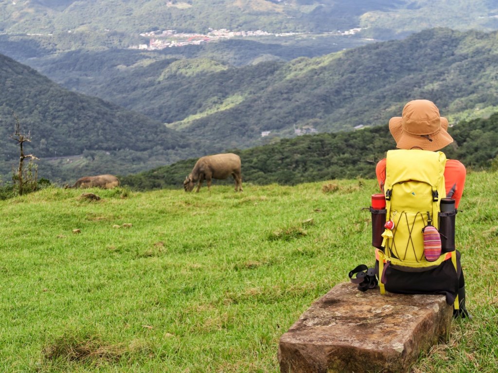 桃源谷步道 大溪上～大里下_1490336
