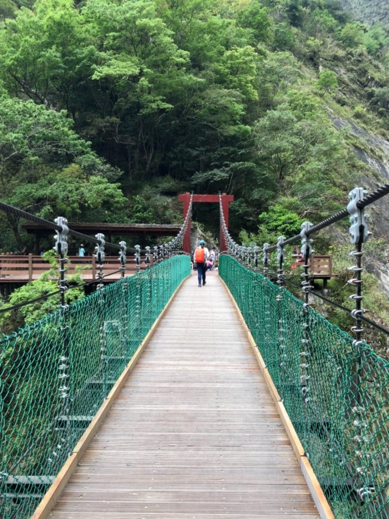 20190404白楊_564945