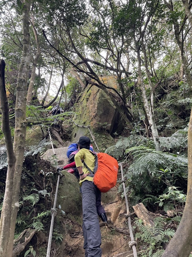 猴山坑古道_2706748