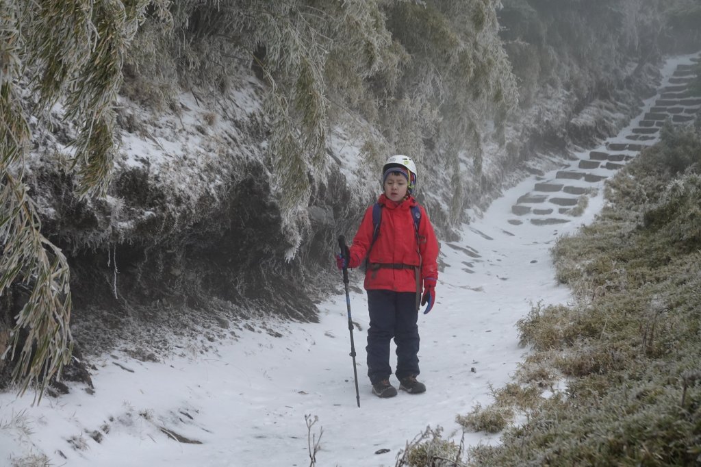阿興阿賢~-13度的生日雪攀玉山_2706440